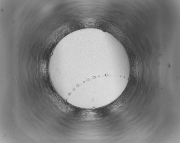 X0000052610610200507221701