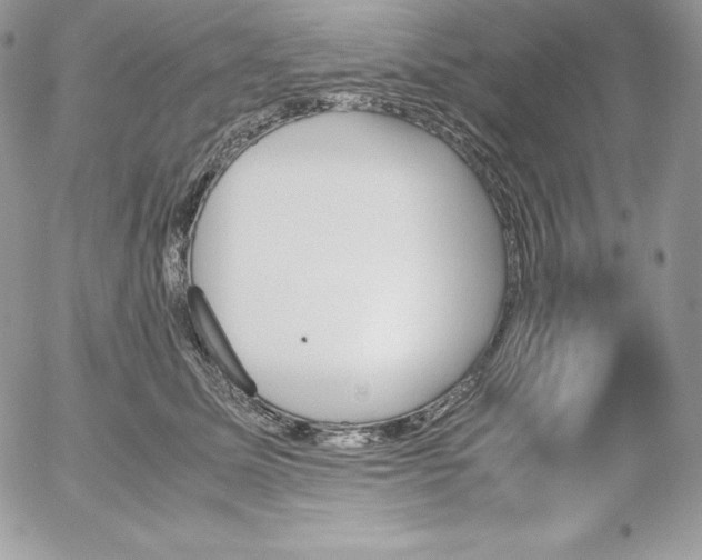 X0000052610611200507221701