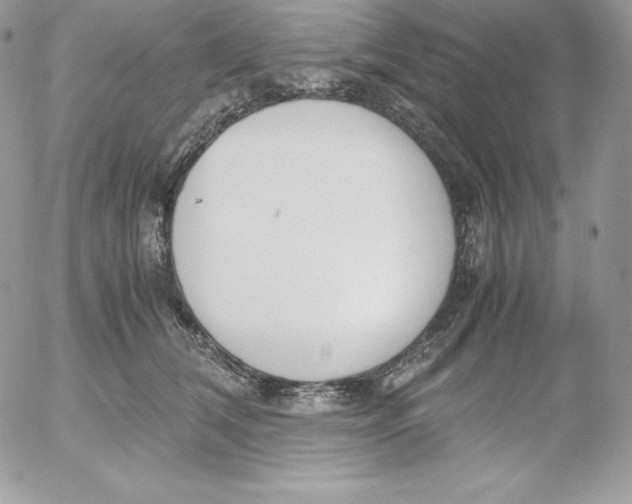 X0000052610612200507221701