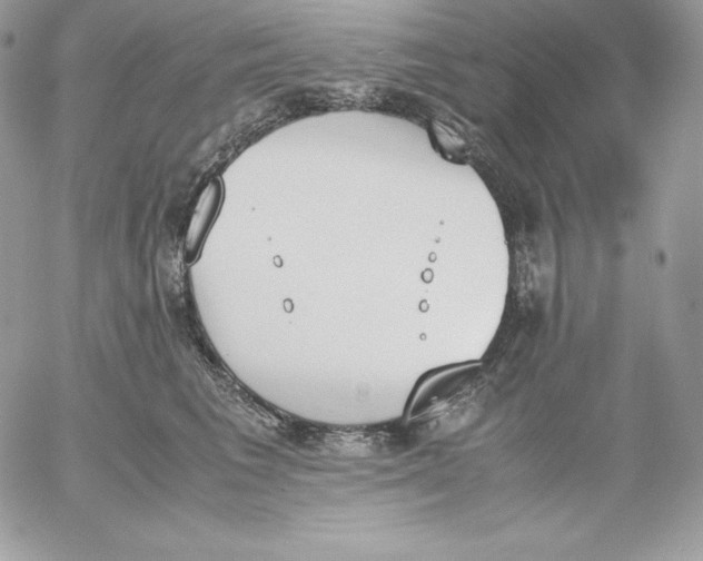 X0000052610613200507221701