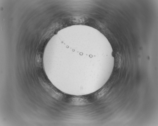 X0000052610614200507221701