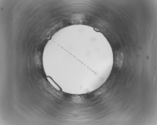 X0000052610616200507221701