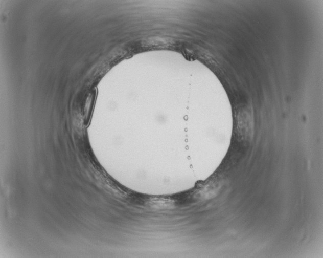 X0000052610617200507221701