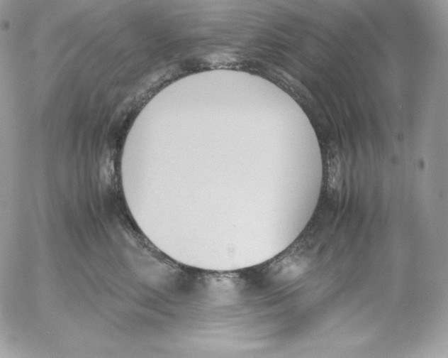 X0000052610618200507221701