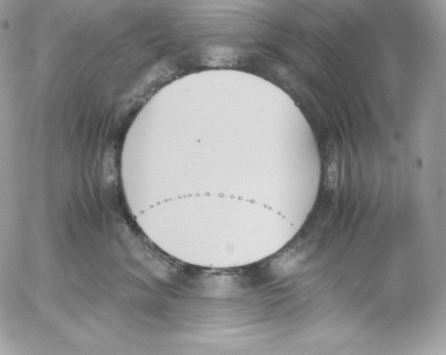 X0000052610620200507221701