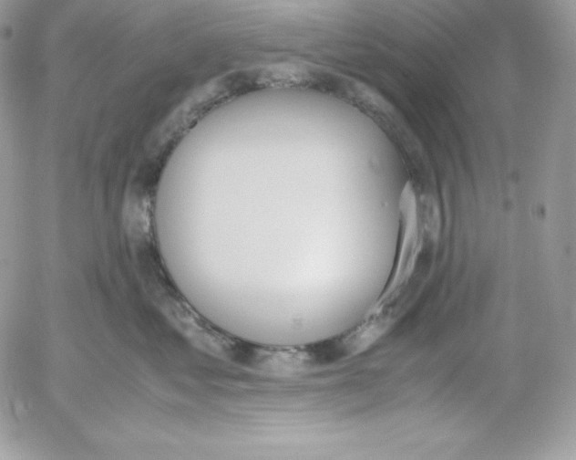 X0000052610621200507221701