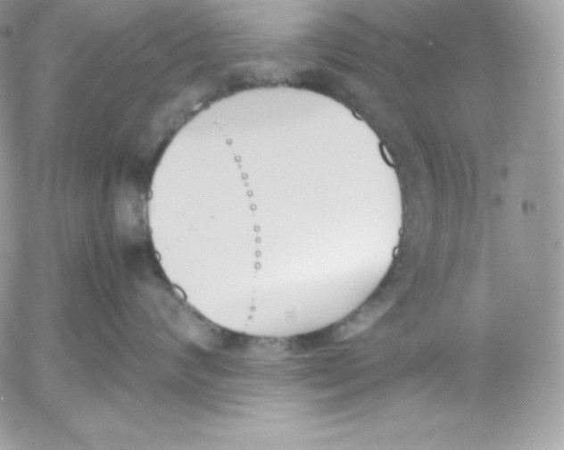 X0000052610624200507221700