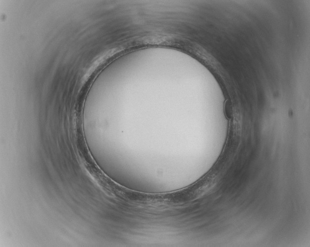 X0000052610626200507221700