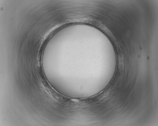 X0000052610628200507221700