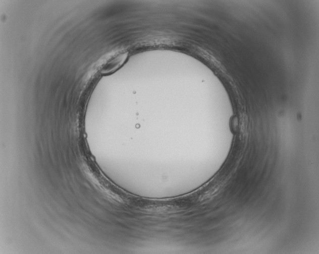 X0000052610629200507221700