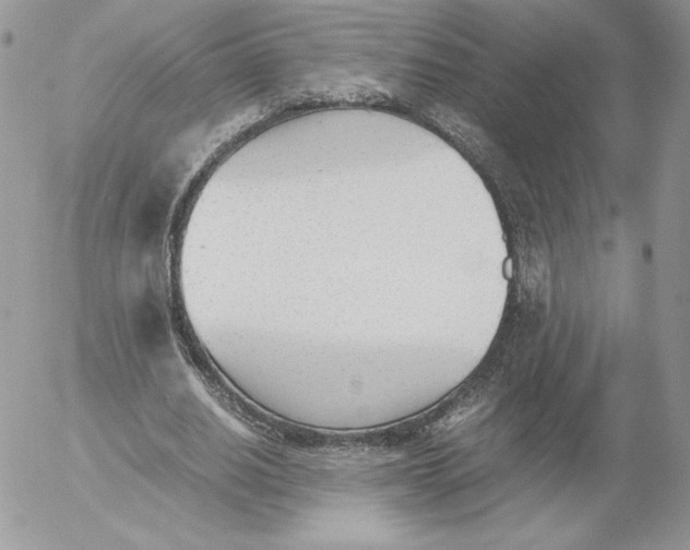 X0000052610630200507221700