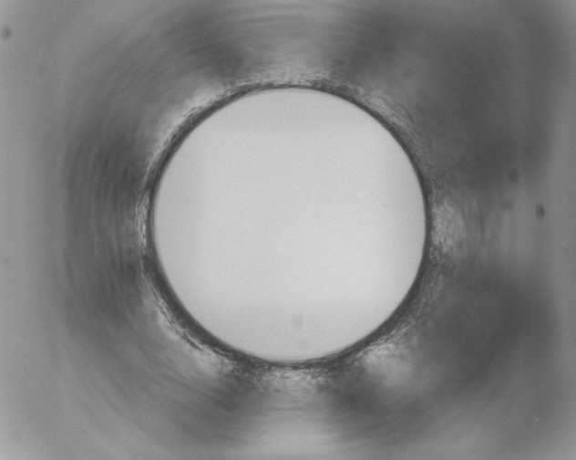 X0000052610632200507221700