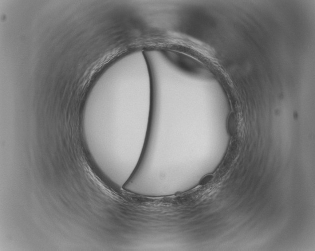 X0000052610633200507221700