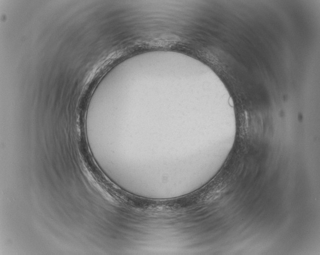 X0000052610634200507221700