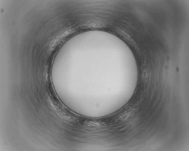 X0000052610635200507221700