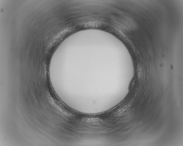 X0000052610637200507221700