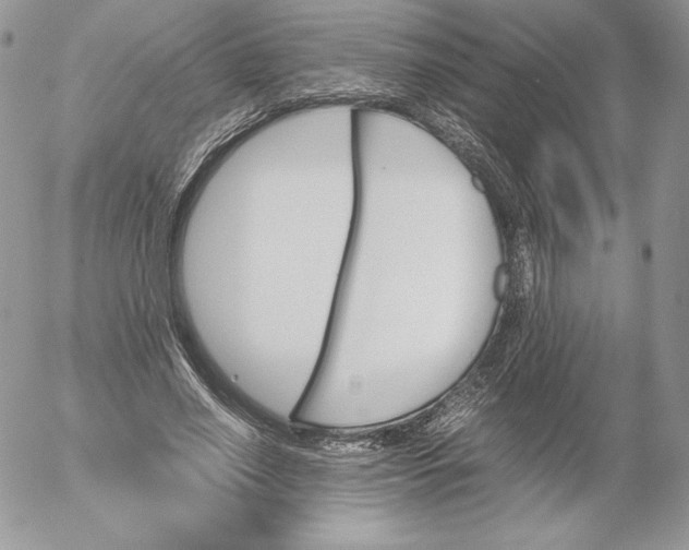 X0000052610638200507221700