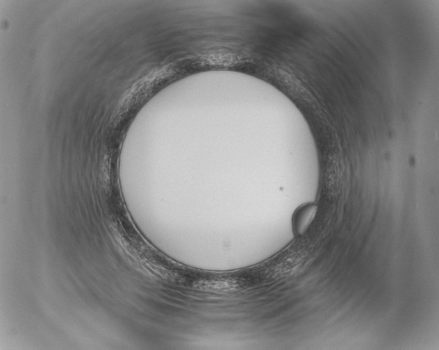 X0000052610639200507221700