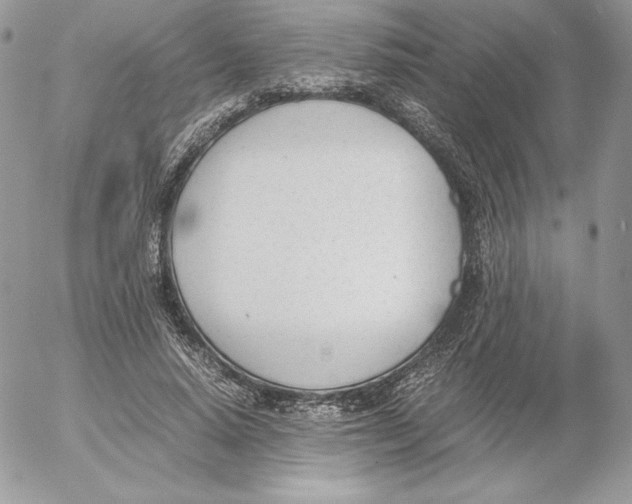 X0000052610640200507221700