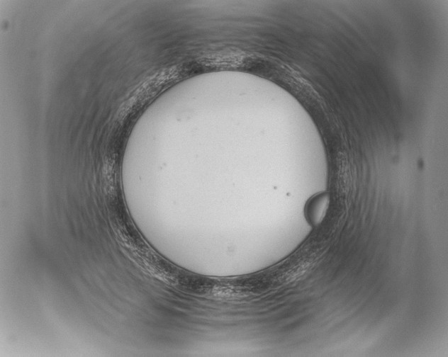 X0000052610641200507221700