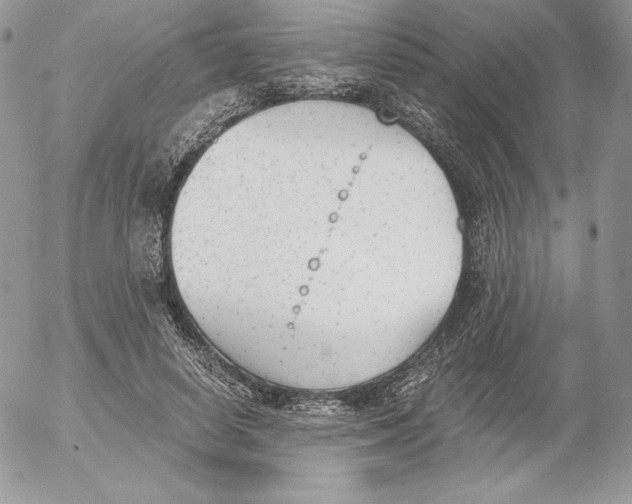 X0000052610642200507221700