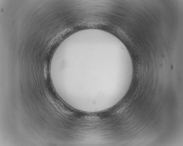 X0000052610644200507221700