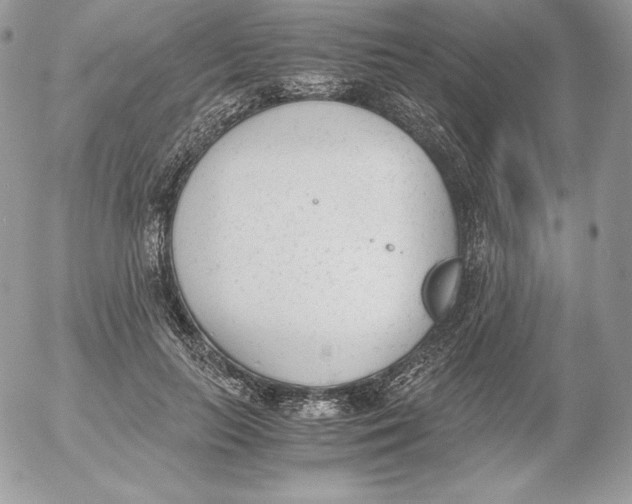 X0000052610647200507221700