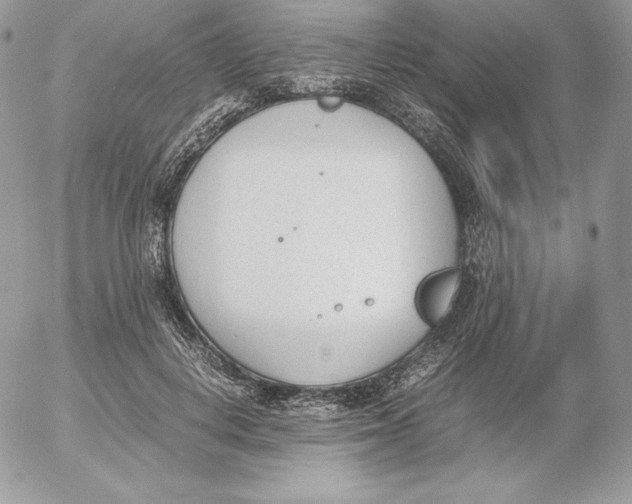 X0000052610648200507221700