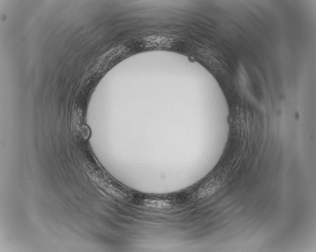 X0000052610649200507221700