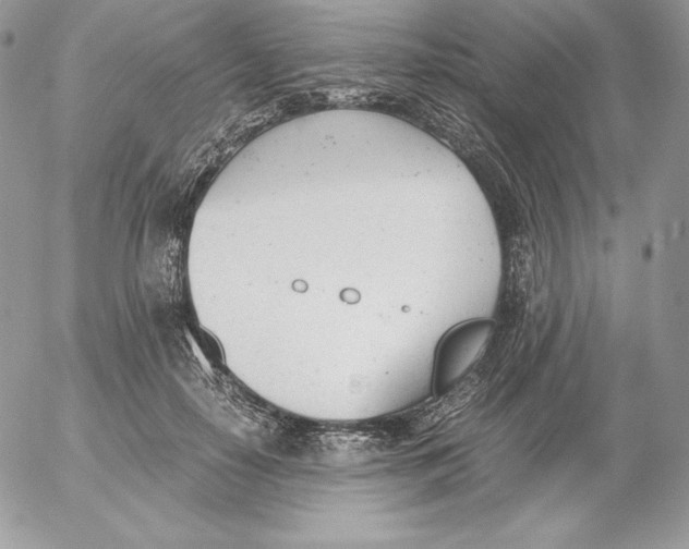 X0000052610650200507221700