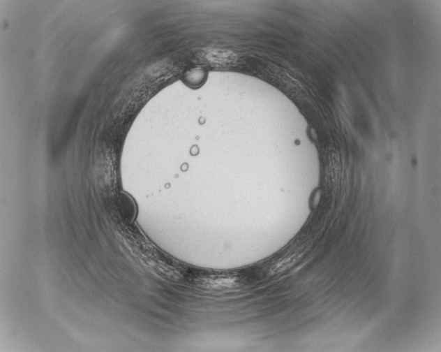 X0000052610651200507221700