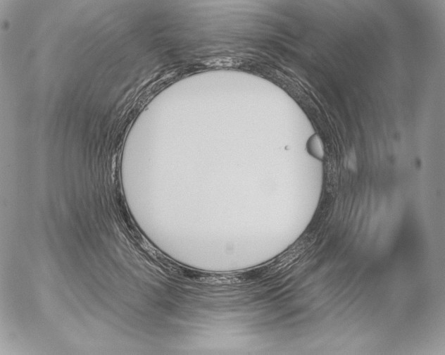 X0000052610652200507221700