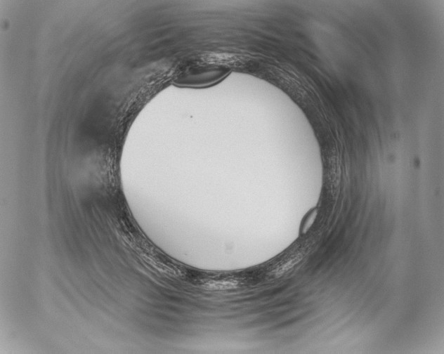 X0000052610653200507221700