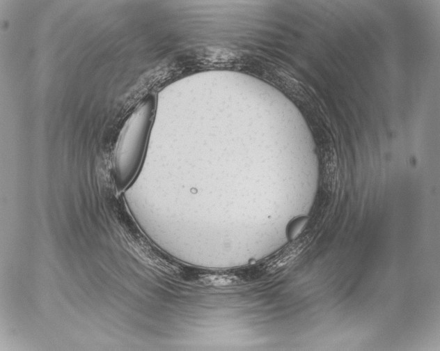 X0000052610654200507221700