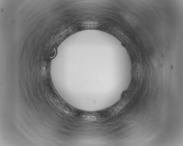 X0000052610655200507221700