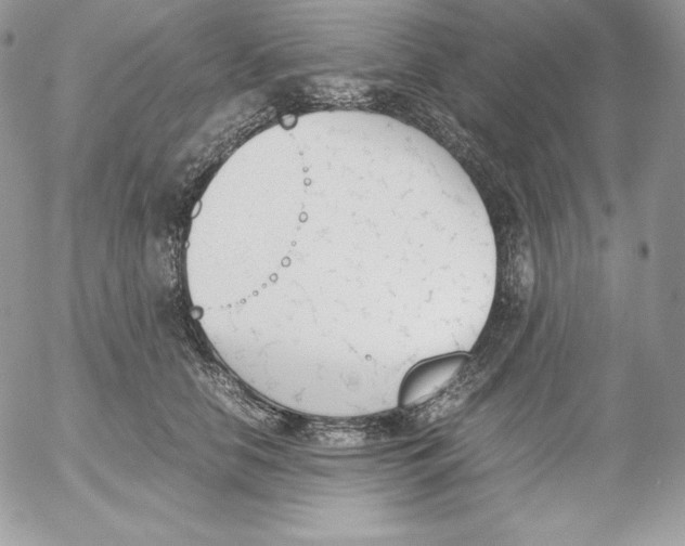 X0000052610658200507221700