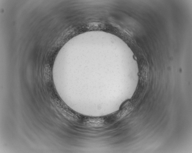 X0000052610659200507221700