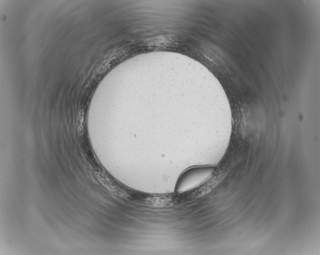 X0000052610660200507221700