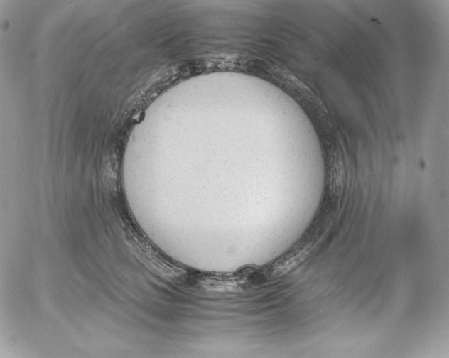 X0000052610661200507221700