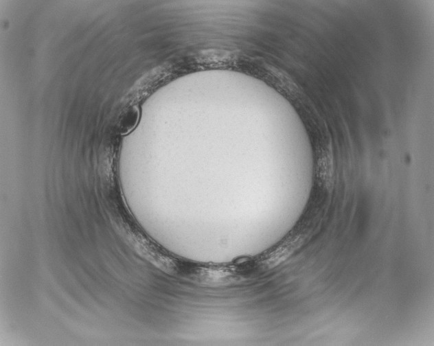 X0000052610662200507221700