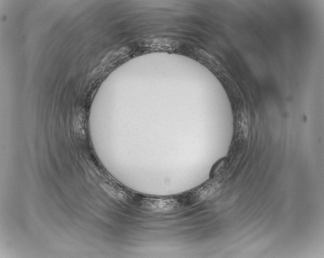 X0000052610663200507221700