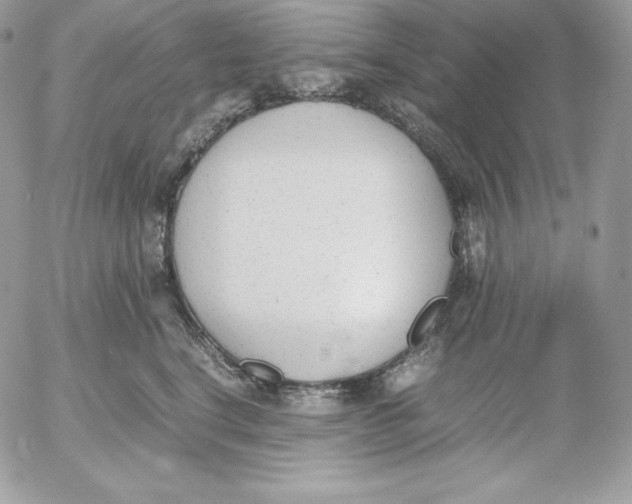 X0000052610664200507221700