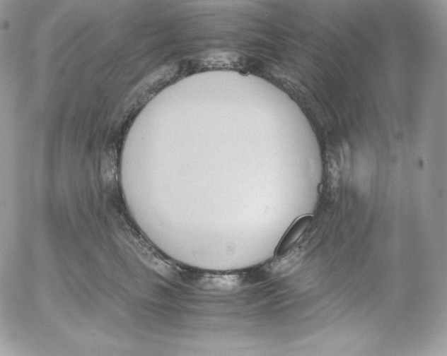 X0000052610665200507221700