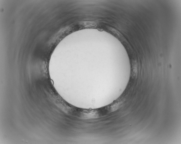 X0000052610667200507221700