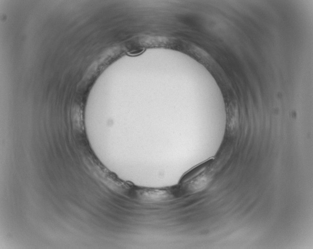 X0000052610669200507221700