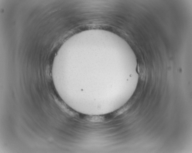 X0000052610670200507221700