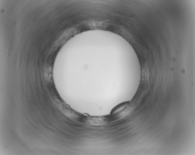 X0000052610671200507221700