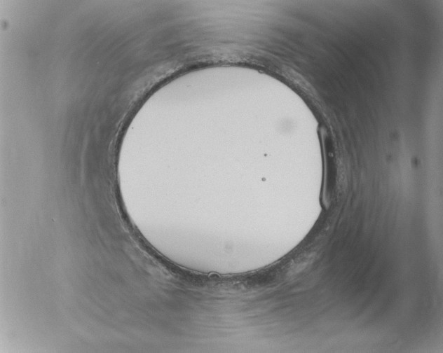 X0000052610673200507221700