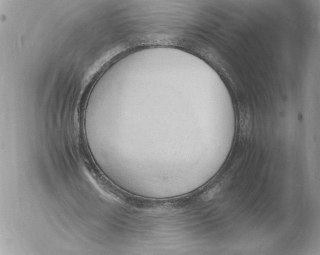 X0000052610674200507221700