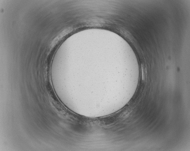 X0000052610675200507221700